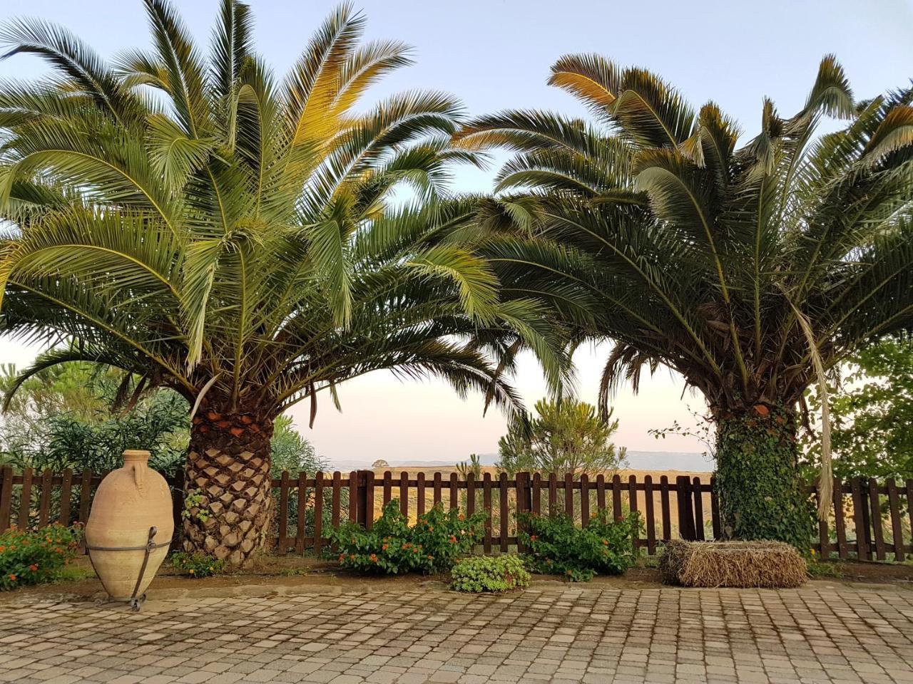 Agriturismo Il Drago Mirabella Imbaccari 外观 照片