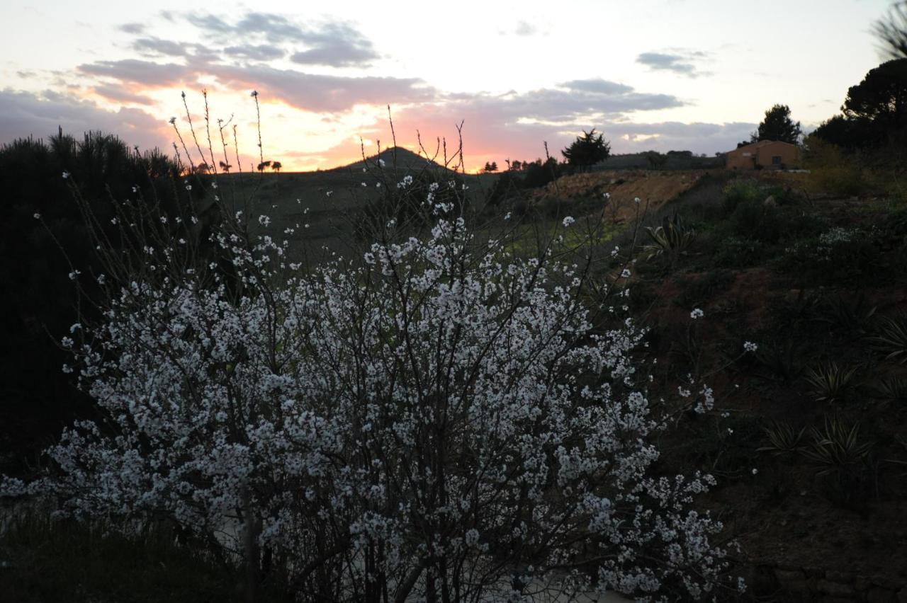 Agriturismo Il Drago Mirabella Imbaccari 外观 照片